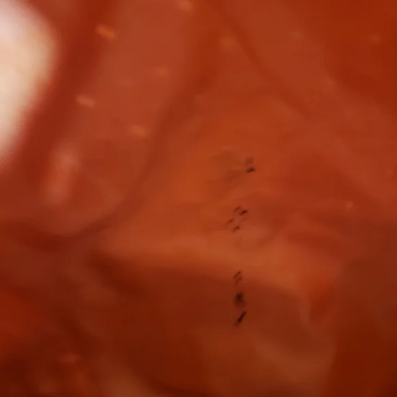 Benrus | Back Pack - Picture 13 of 13